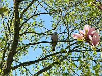 14-05-2006_08-13-59_40