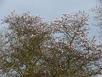 08-04-2007_19-10-18_10