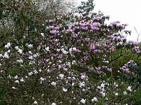 08-04-2007_19-13-23_59