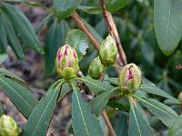 09-04-2006_08-22-52_21