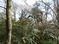 10-04-2007_16-06-48_35