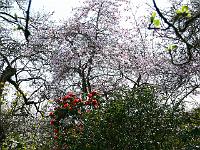 13-04-2007_15-38-25_66