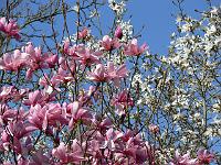 14-04-2007_14-04-35_24