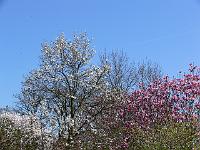 14-04-2007_14-07-19_64