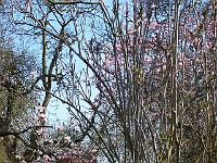 24-04-05kodak_193