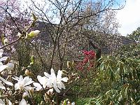 28-04-05kodak_111