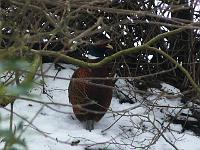 01-02-2006_11-09-01_13