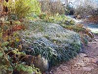 220105kodak_007