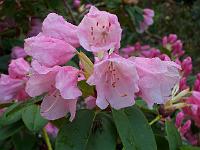 06-05-05kodak_051