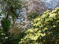 10-05-2006_09-12-43_134