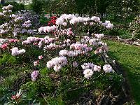 10-05-2006_18-12-45_43