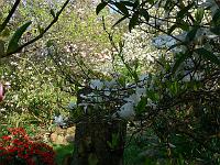 11-05-2006_10-00-59_74