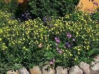 25-05-2007_10-37-01_62