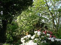 26-05-2006_09-04-15_255