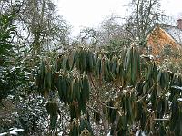 04-03-2006_11-36-00_25