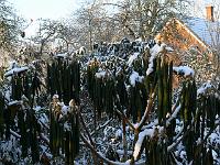 05-03-2006_08-41-45_93