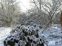 05-03-2006_09-29-11_09