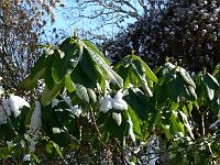 05-03-2006_12-46-47_52