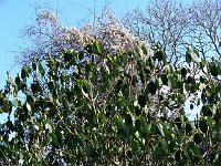 05-03-2006_14-30-36_40