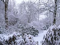 06-03-2006_18-21-38_05