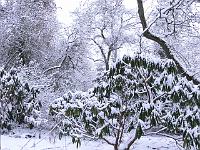 06-03-2006_18-24-36_52