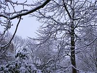 06-03-2006_18-26-20_80