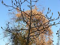 19-03-2006_17-32-02_06