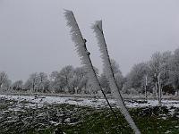 2010-03-09_11-36-00_0169