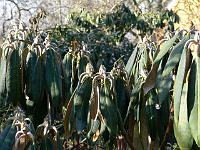 23-03-2006_10-16-38_01