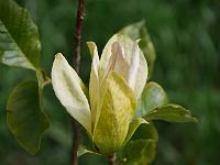 2015-05-22-08-55-35
