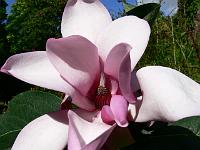 03-08-2007_10-39-08_54