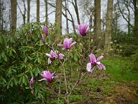 2014-04-23_11-57-21_0004