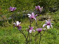 2014-04-26_12-02-10_0009