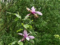 2019-05-22-08-34-03