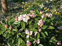 08-05-2006_09-28-00_24