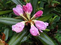02-06-05canon_046