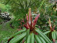 24-05-2006_18-34-24_185