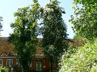 04-07-2006_10-20-36_148