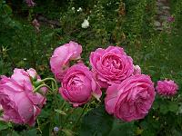 06-07-05kodak_280