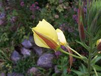 19-07-05kodak_270