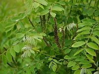 2014-06-13_10-51-16_0049