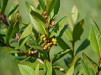 2012-05-27_16-15-38_0099