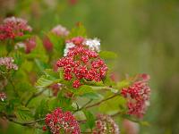 2014-06-20_10-30-02_0060