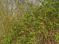 2014-04-10_08-15-29_0070