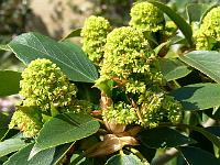 11-05-2006_11-50-43_252