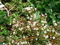 2009-05-04_09-42-29_0137