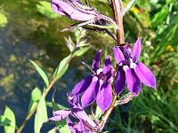 20-07-2006_12-27-03_08